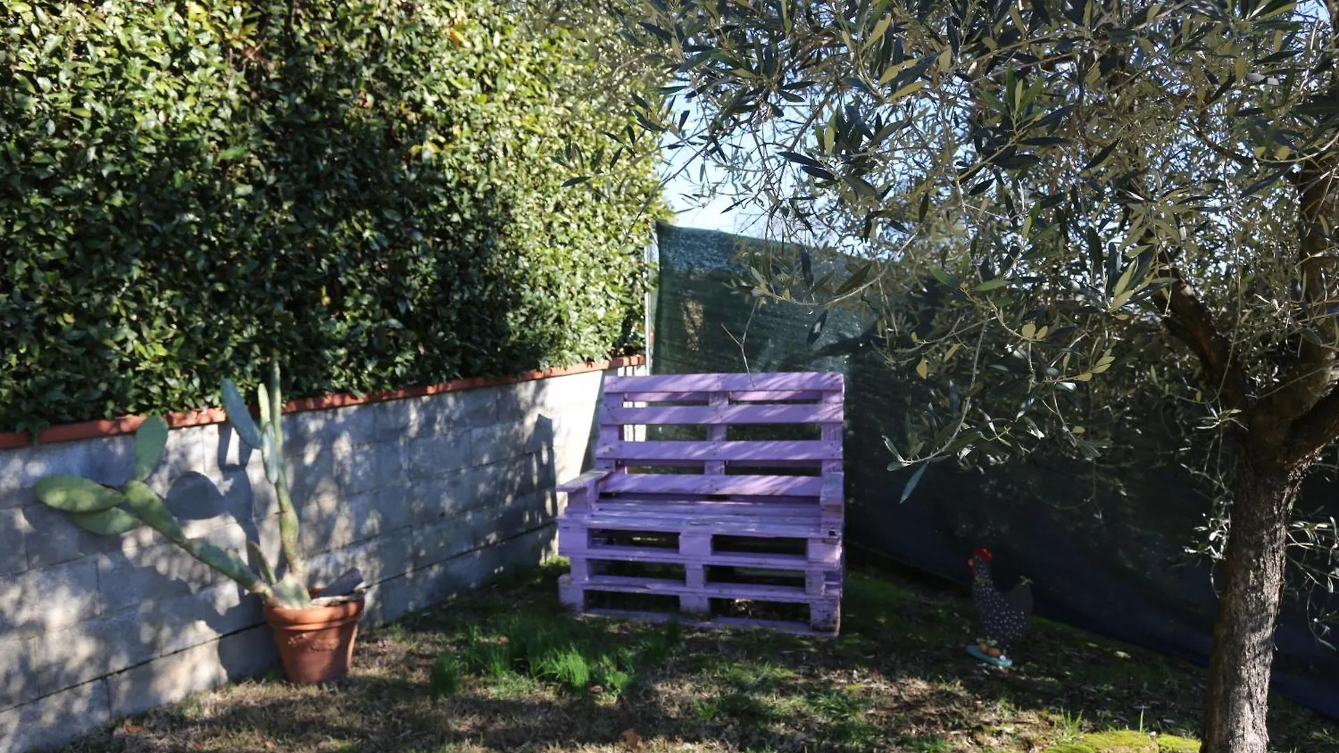 Affittacamere Hotel Latte & Miele Hause Lucca Italia