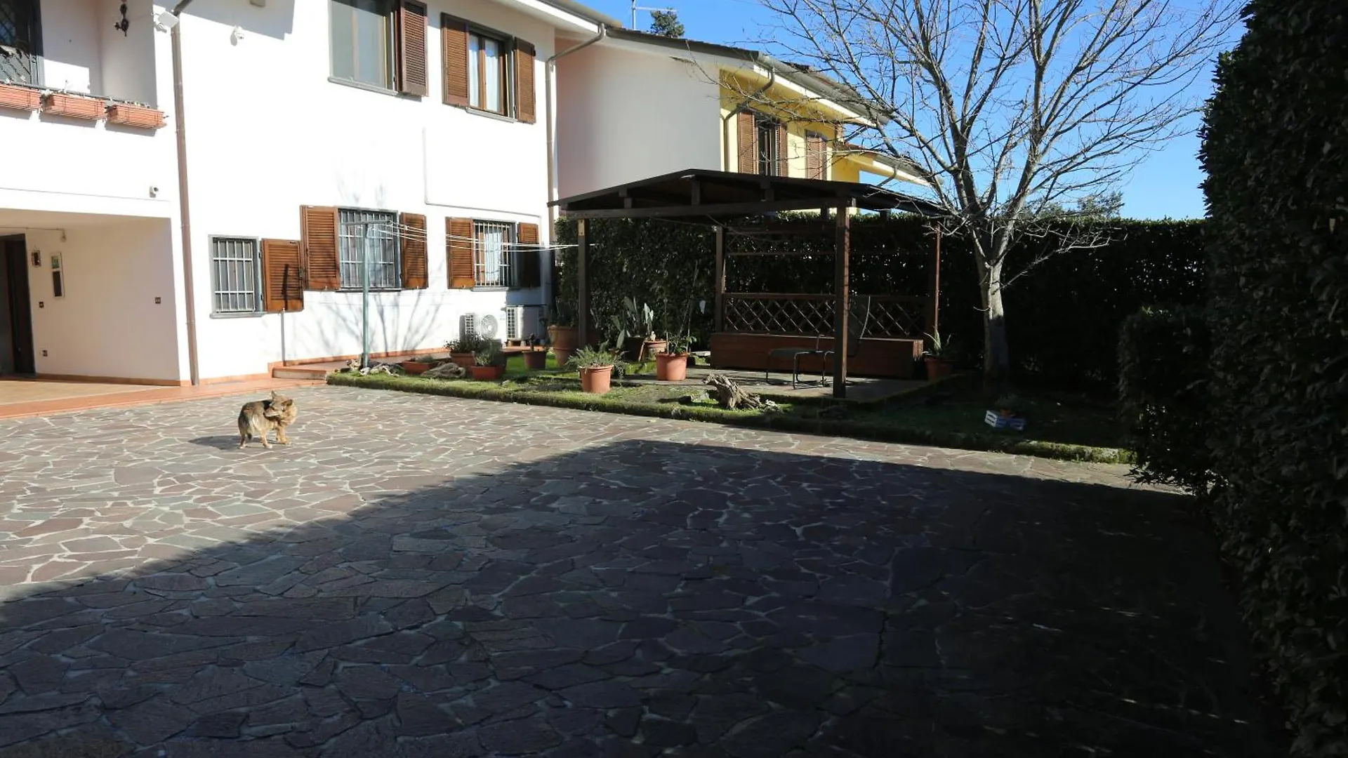 Guest house Latte & Miele Hause Hotel Lucca Italy
