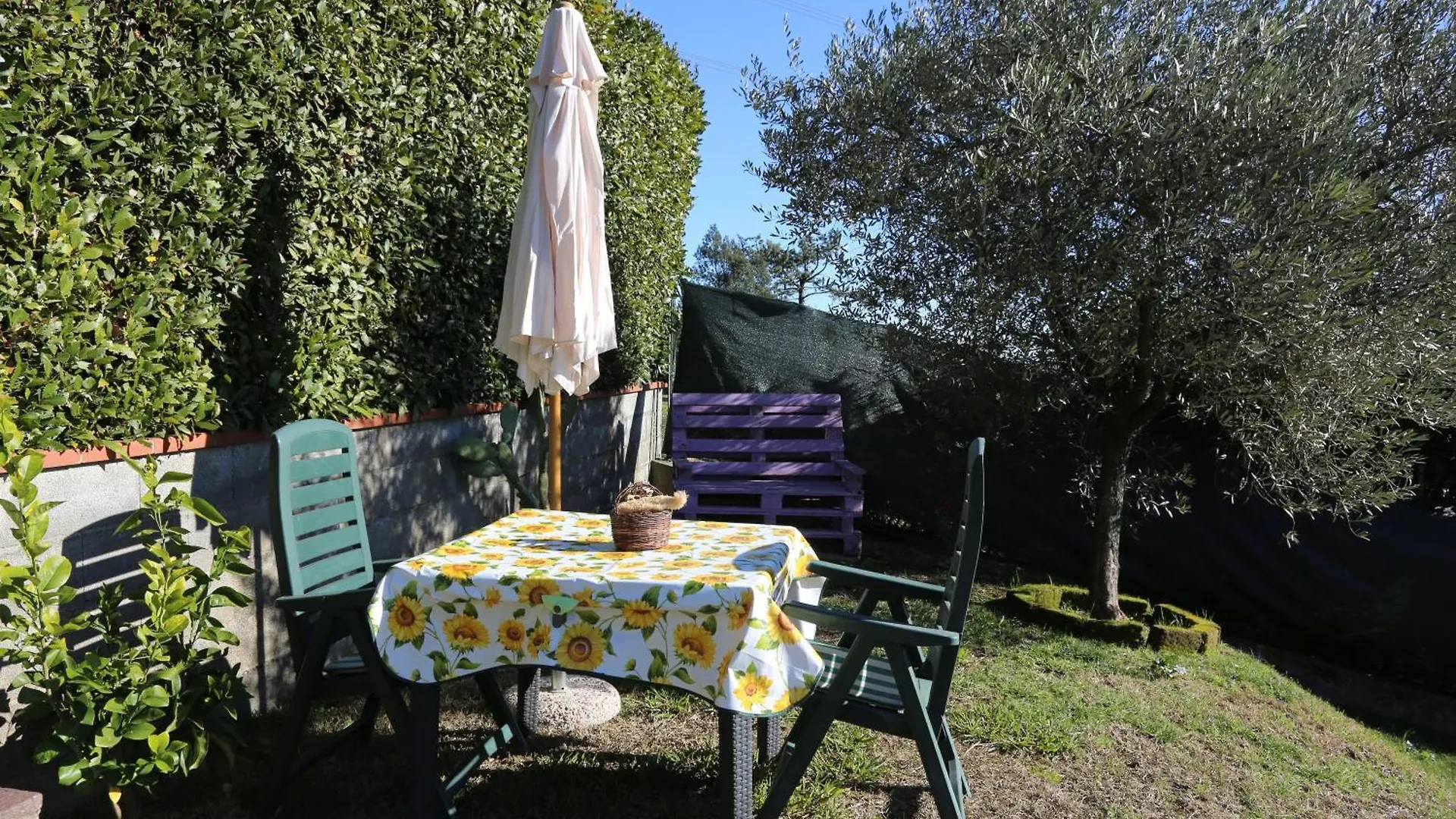 Guest house Latte & Miele Hause Hotel Lucca