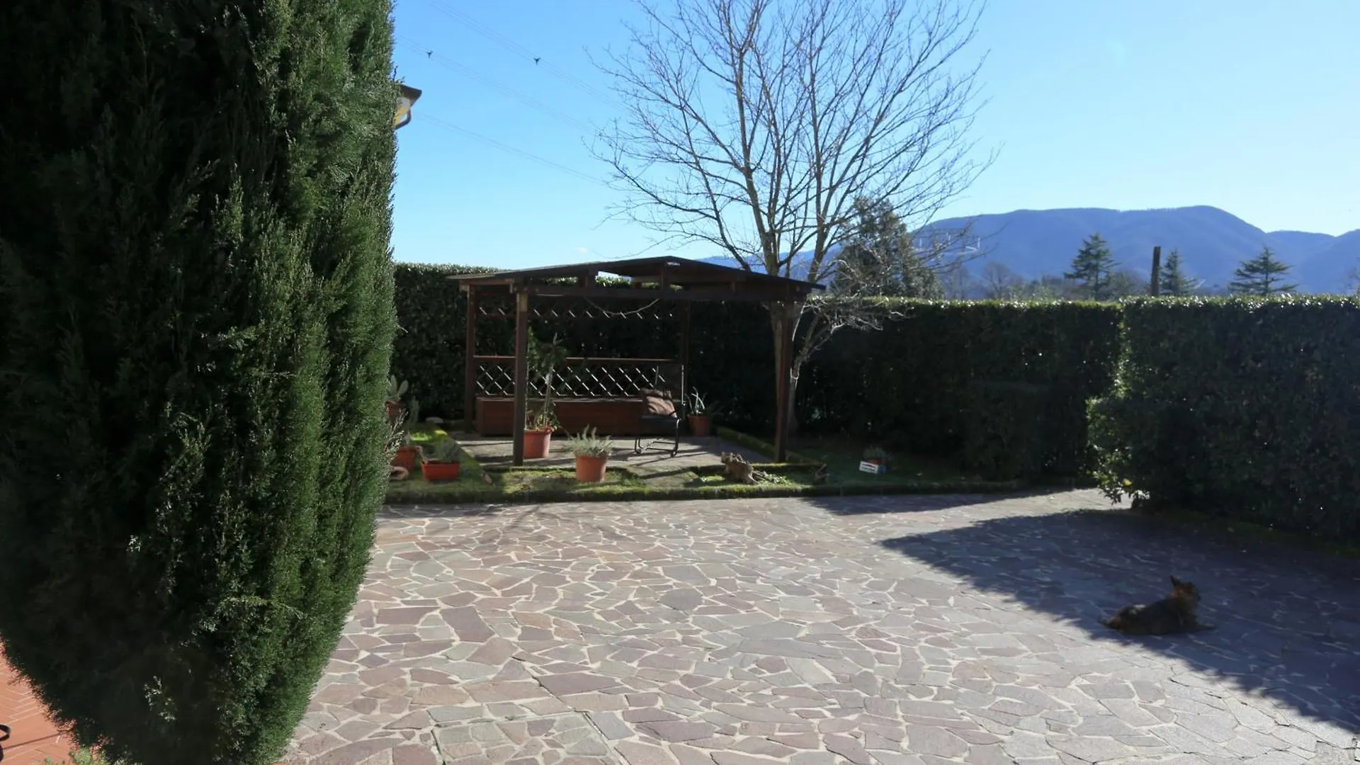 Latte & Miele Hause Hotel Lucca Guest house