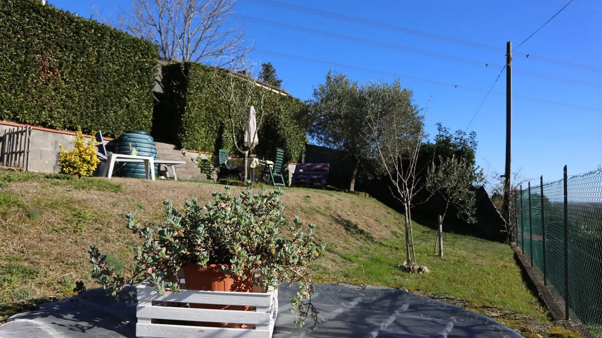 Guest house Latte & Miele Hause Hotel Lucca